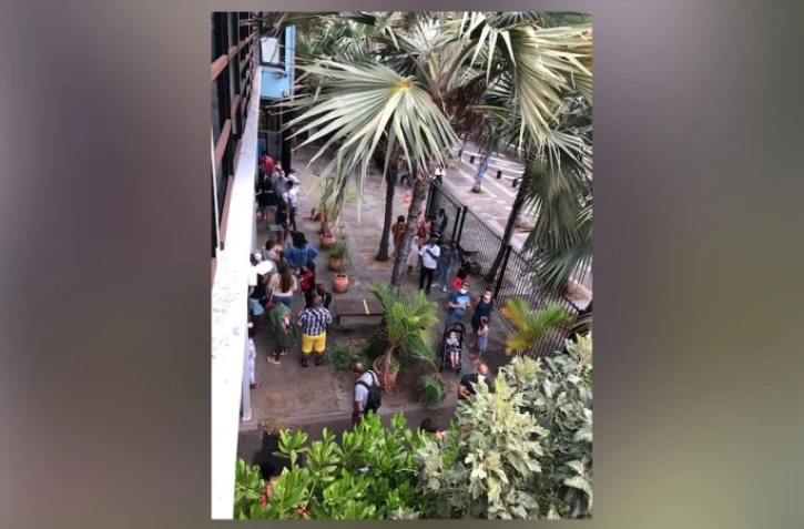 Des journées à 900 visiteurs à Kélonia 