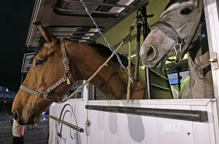 arrivée de chevaux pour les clubs d'équitation 