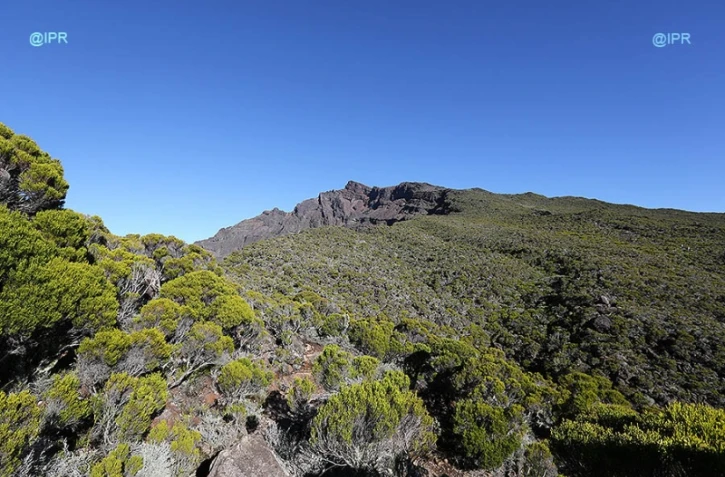 Piton des neiges 