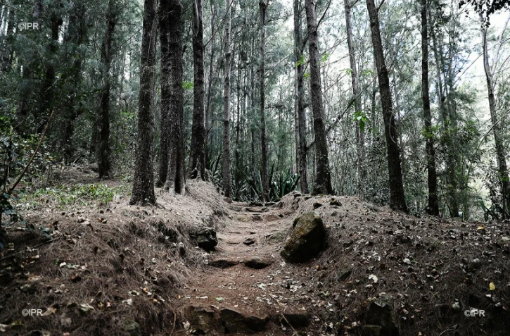 Grand Raid 2019