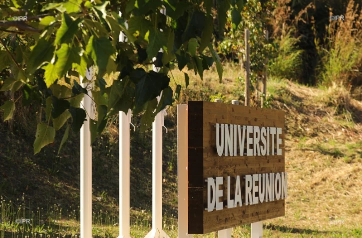 université de la réunion 