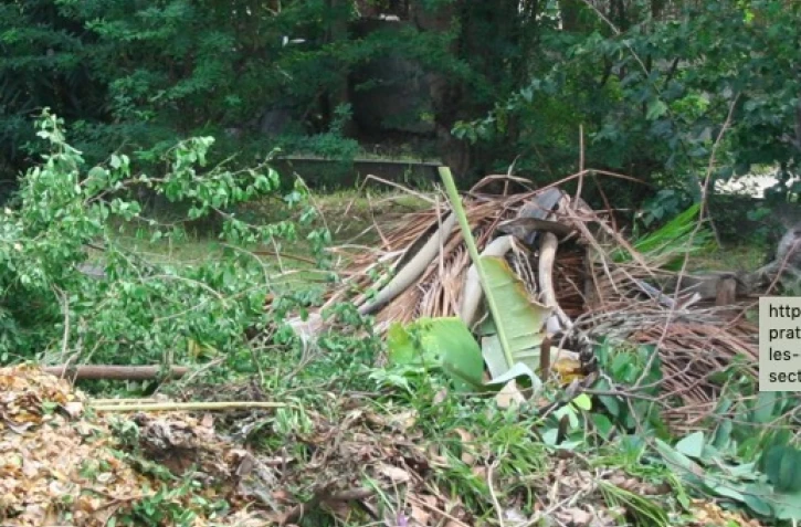 déchets végétaux