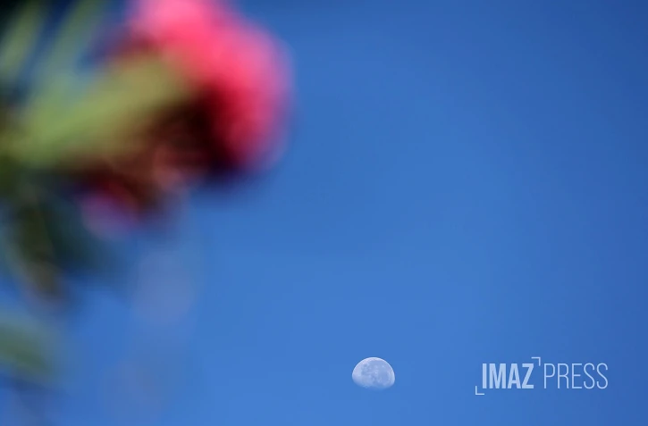 lune 