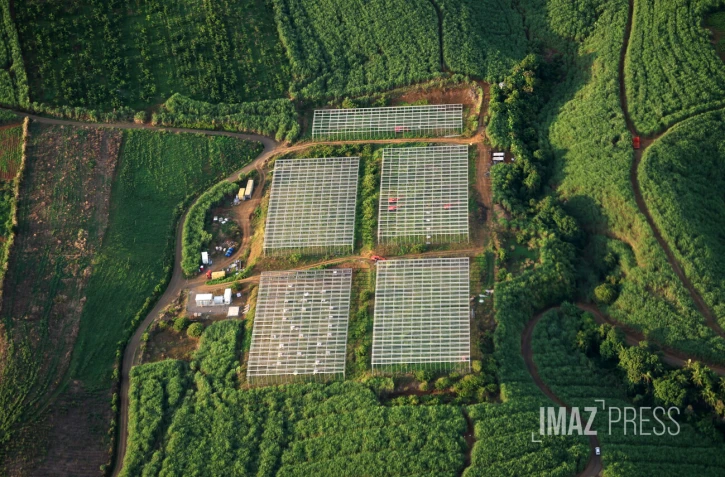 agriculture