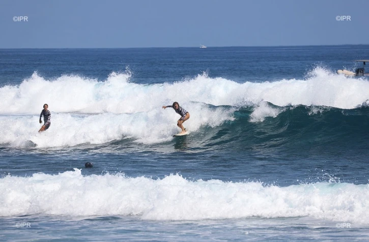Surf