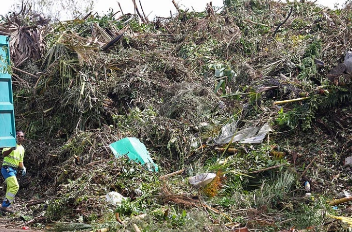 Plateforme de compostage du Port