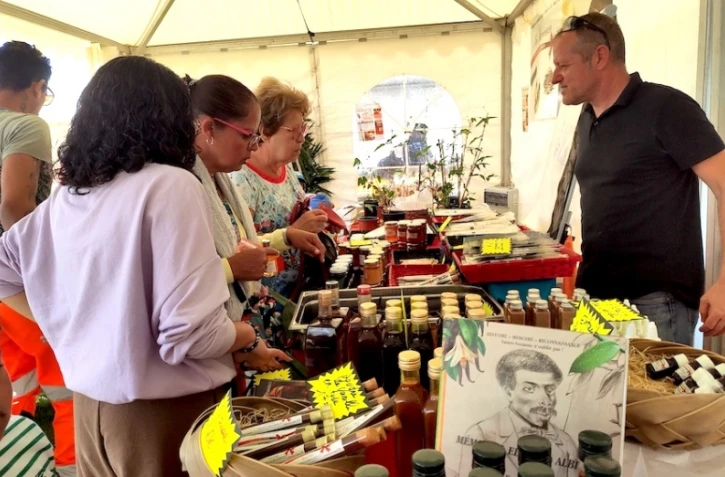 Le Département lance un appel à projet aux producteurs de culture de vanille 