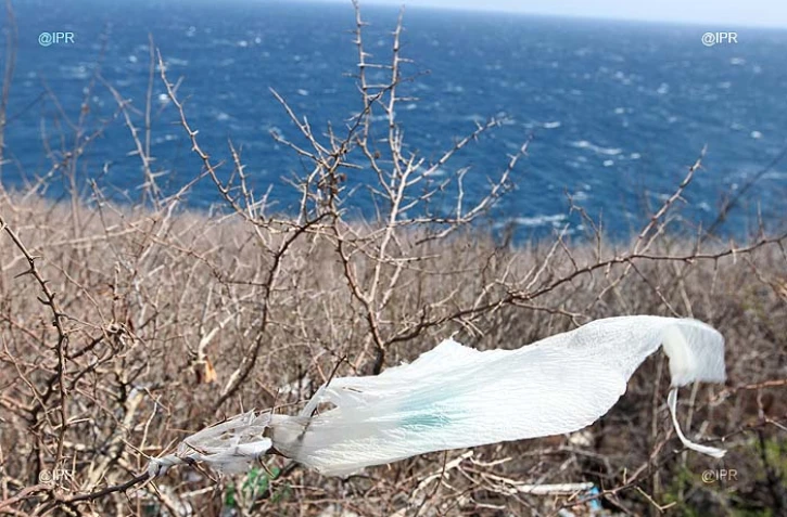 Pollution plastique