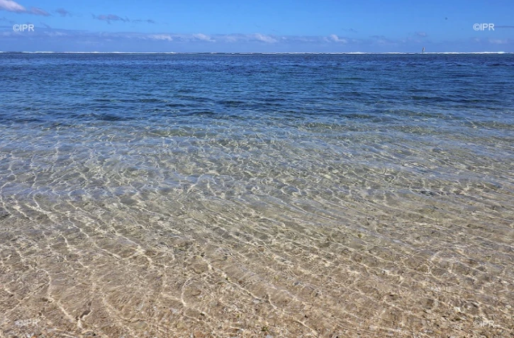 Lagon 