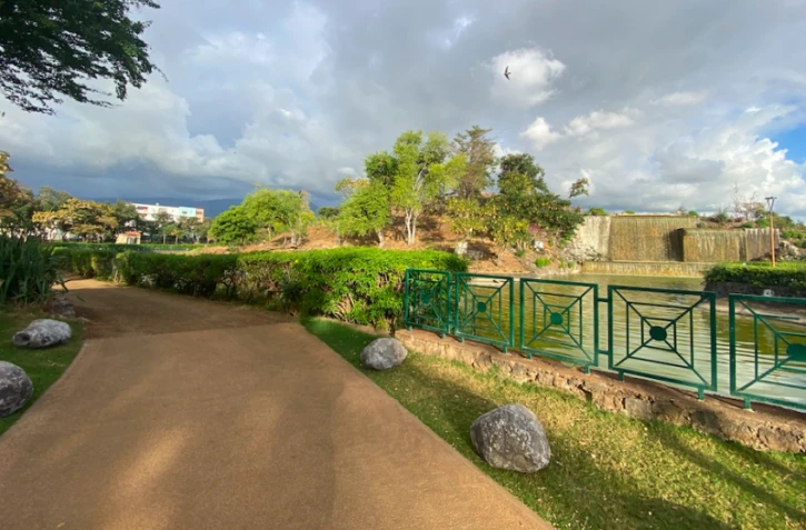 parc boisé au port 