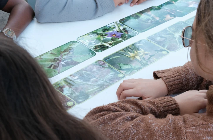  Saint-Paul : des vacances culturelles mêlant humour et biodiversité pour les enfants