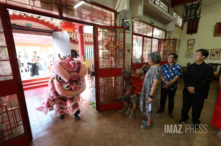 nouvel an chinois , annee du cheval de feu 