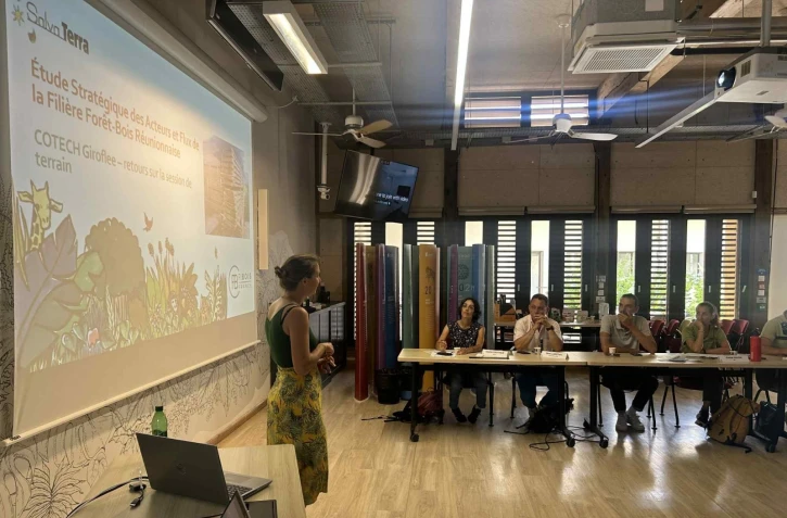 Département : le projet Giroflée fait avancer la filière forêt-bois réunionnaise