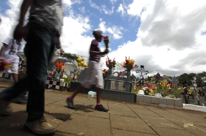 Fête de la Toussaint: "offrons des fleurs et non des moustiques"