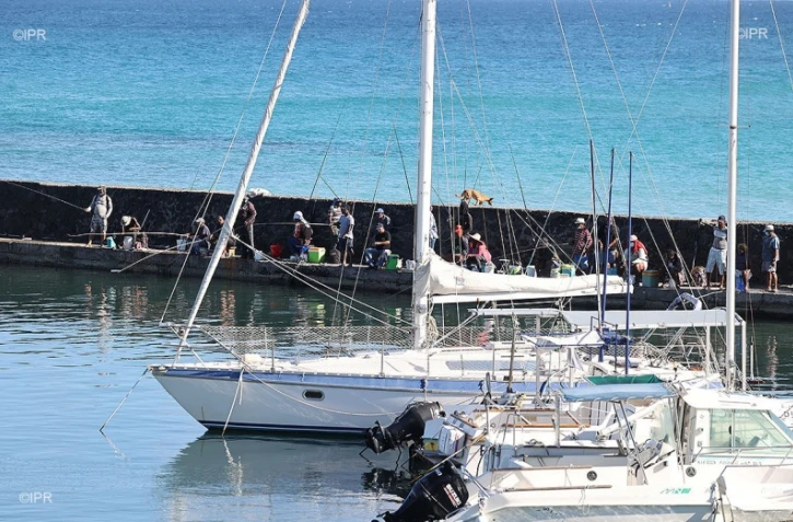 pêche-cavale port de Saint-Gilles 