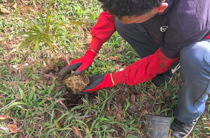 Département : 500 nouveaux arbres à Dioré grâce à l'engagement de tous