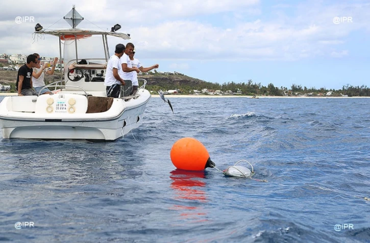 Cap Requins Roches Noires