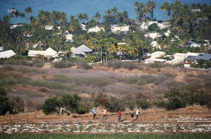 canne et urbanisation 