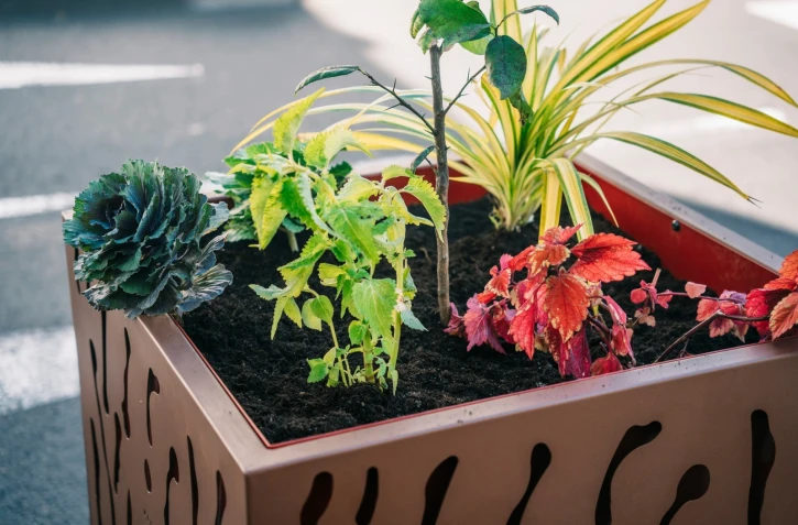  Saint-Denis : 20 nouvelles jardinières installées en centre-ville 