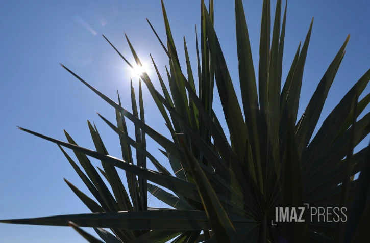 parc de la trinite , coeur vert familial 