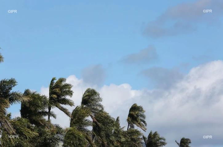 météo réunion 
