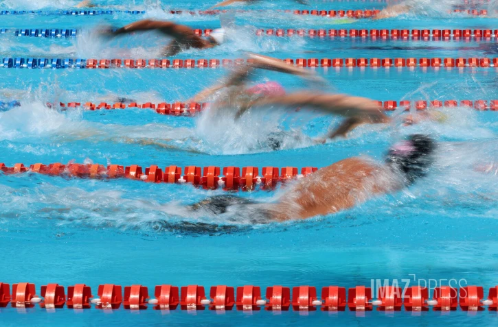 natation 