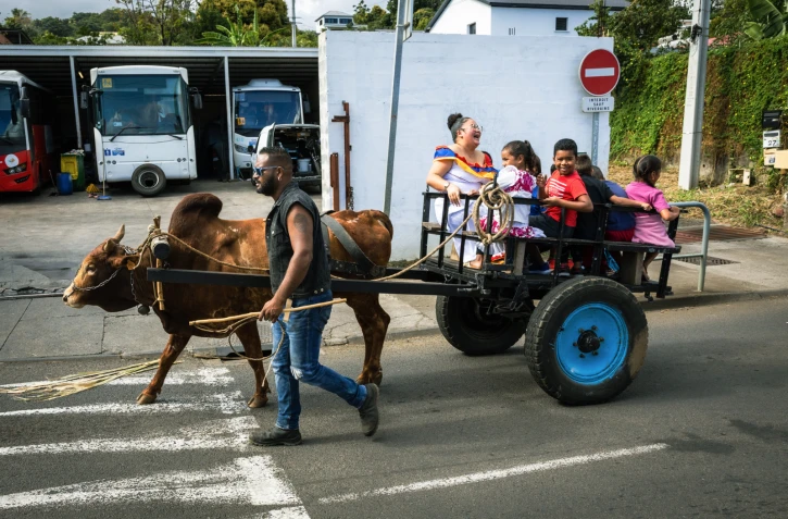  Saint-Paul : une journée intergénérationnelle autour des traditions lontan 