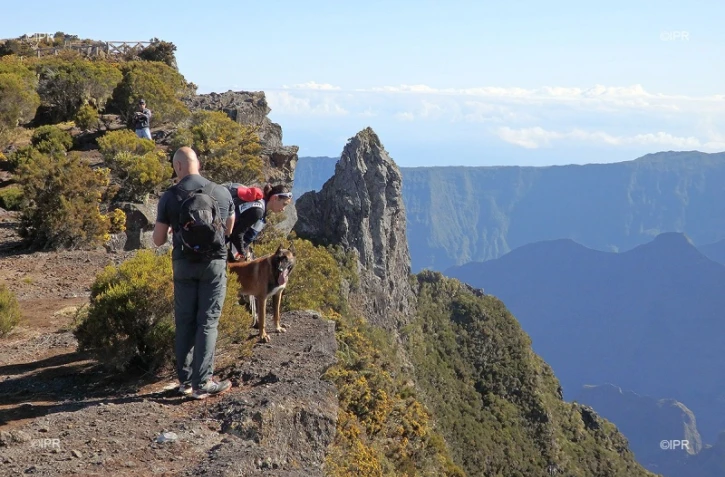 Recherches Mathieu Caizergues 