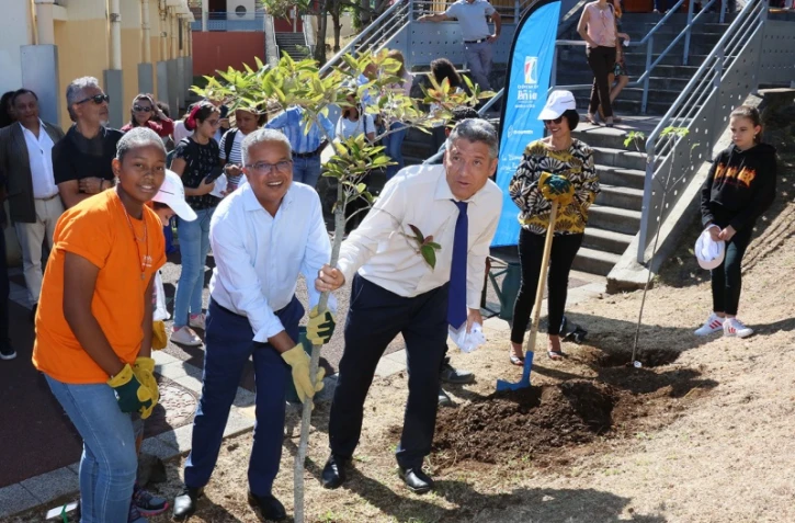 Arbres plantés par le département à saint-paul