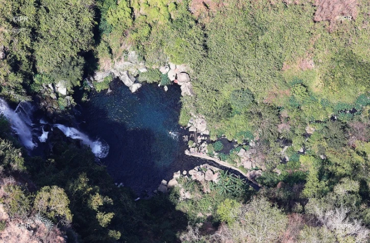 bassin des Cormorans