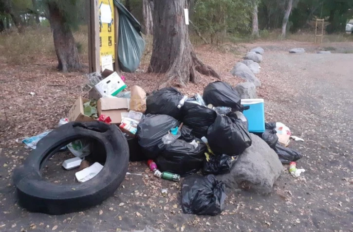 Band Cochon : 102 photos pour huit villes 