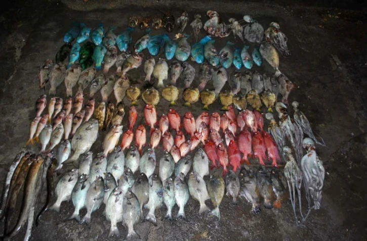  braconnage dans le lagon 