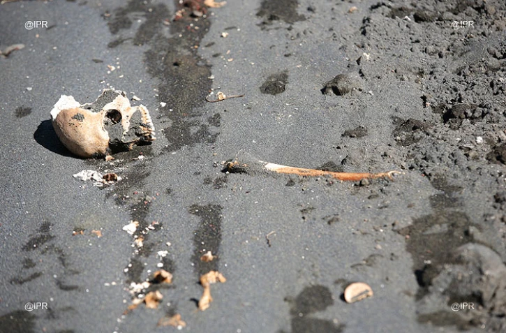 Des ossements humains découverts aux Roches Noires