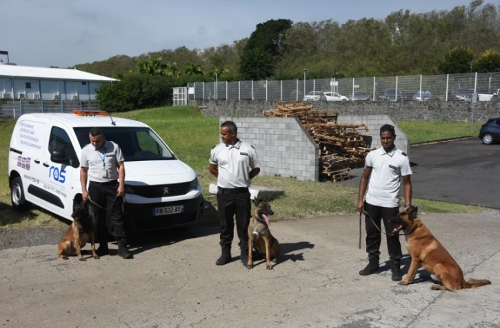 Explosifs et colis suspects : exercice cynophile à l'aéroport Roland Garros 