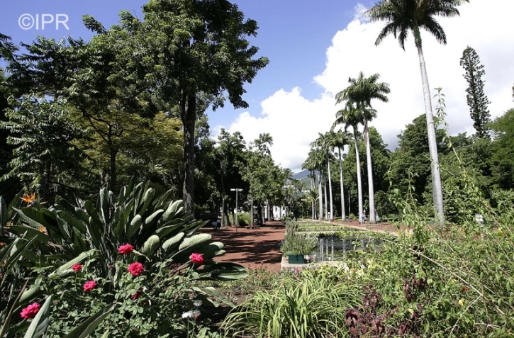 jardin de l\'état 