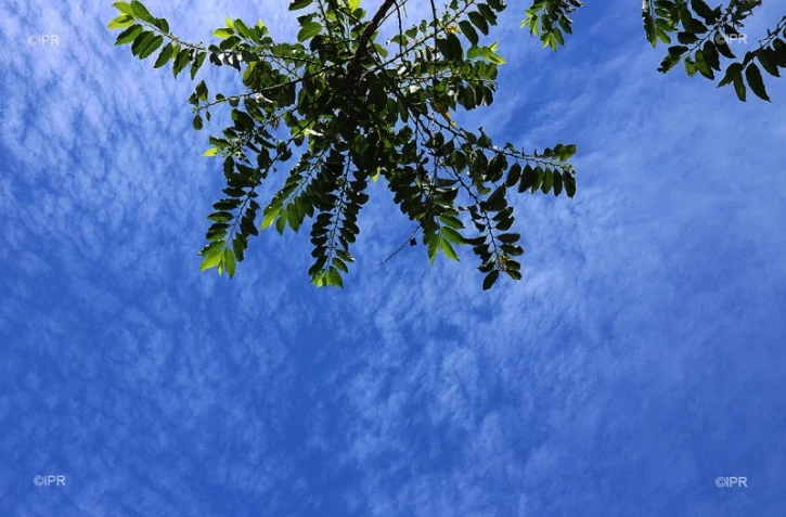 ciel 