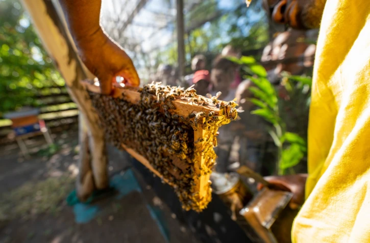 200 personnes ont découvert le rucher municipal du Port