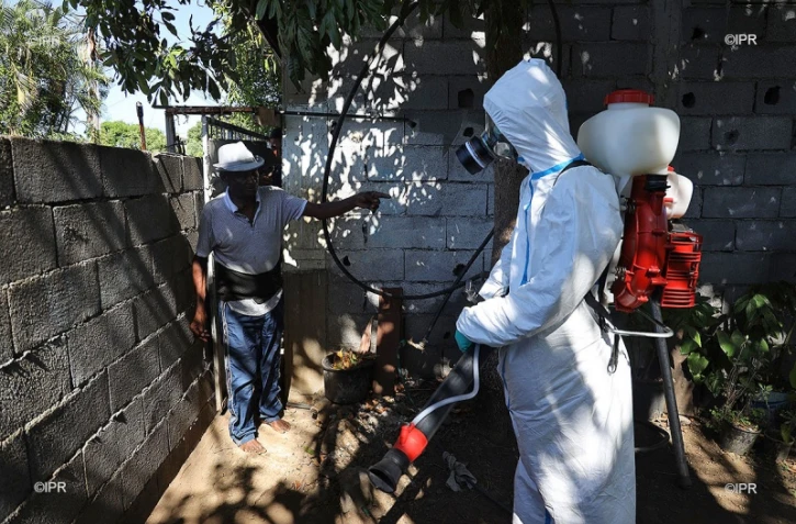 Dengue 