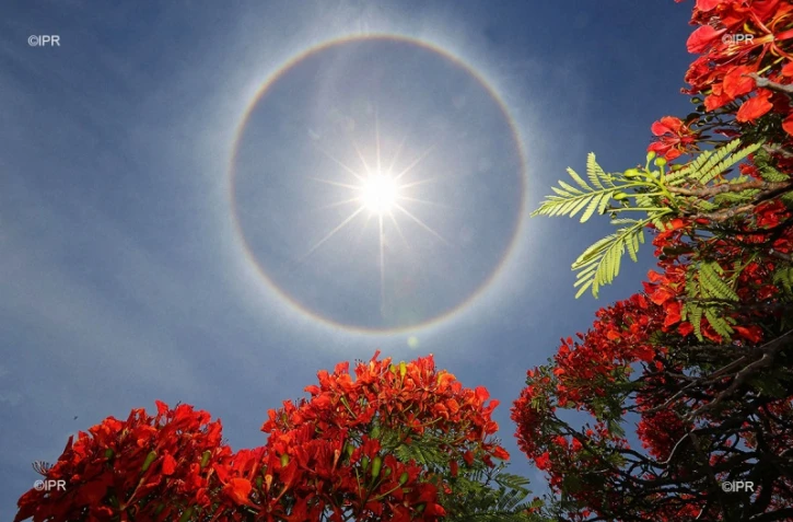 halo de chaleur