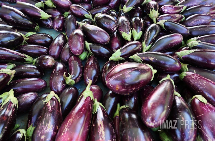 Marché forain en couleur 