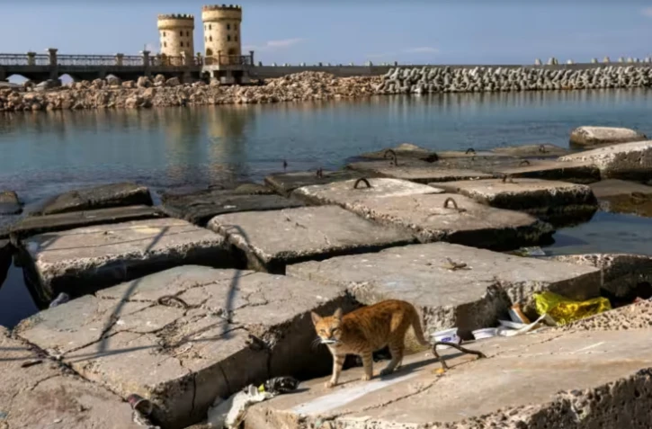 Le port d'Alexandrie le 31 octobre 2022 ( AFP / Khaled DESOUKI )