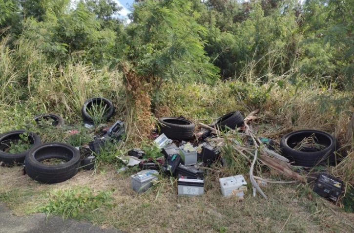 dépôts sauvages band cochon