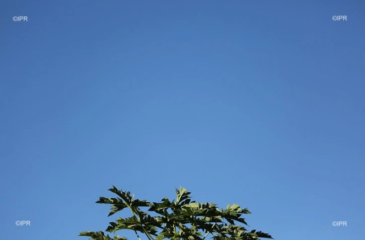 météo réunion 