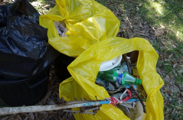 Nettoyage Ravine des Lataniers