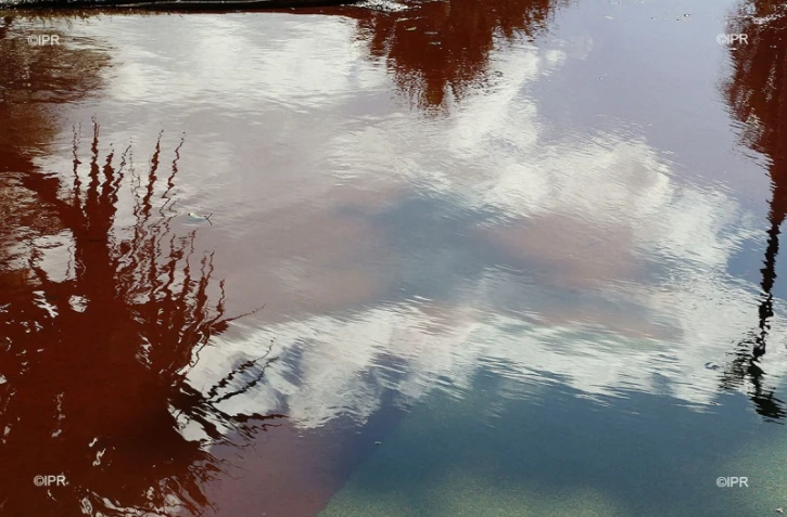 pluie 
