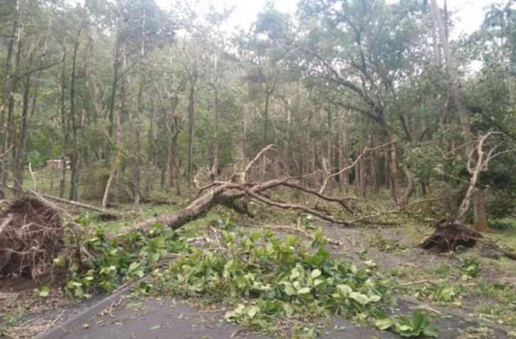 Danger anse des cascades 