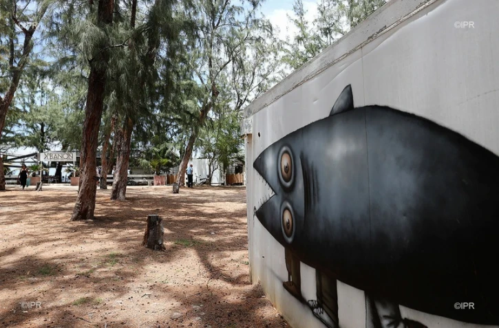 Paillote, Coco Beach, expulsion, déménagement, état des lieux, restaurant, Hermitage, plage