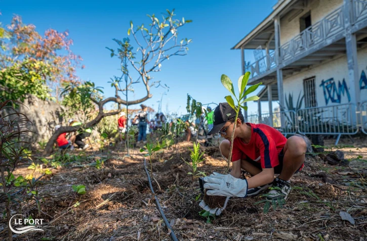 1200 plants mis en terre par les élèves portois aux jardins des Maisons des ingénieurs