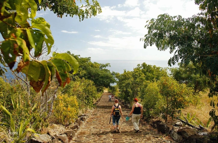 météo réunion 