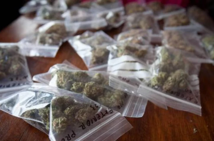 Le cannabis est la drogue la plus consommée en France. | AFP PHOTO / DESIREE MARTIN